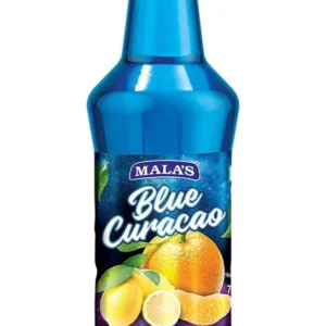 BLUEB LAGOON SYRUP