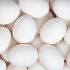 EGG