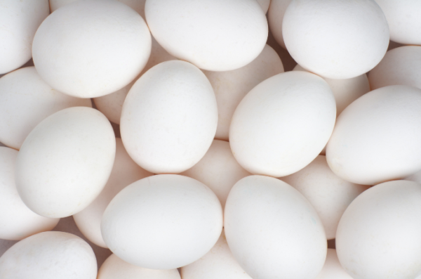 EGG