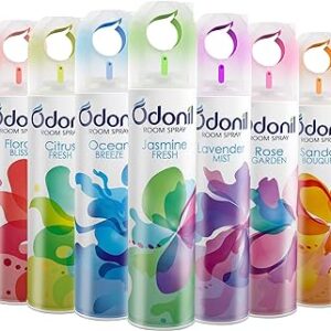 ODONIL AIR FRESHNER