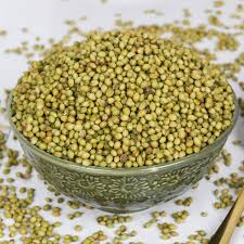 BANSAL DHANIA SABUT 250GM