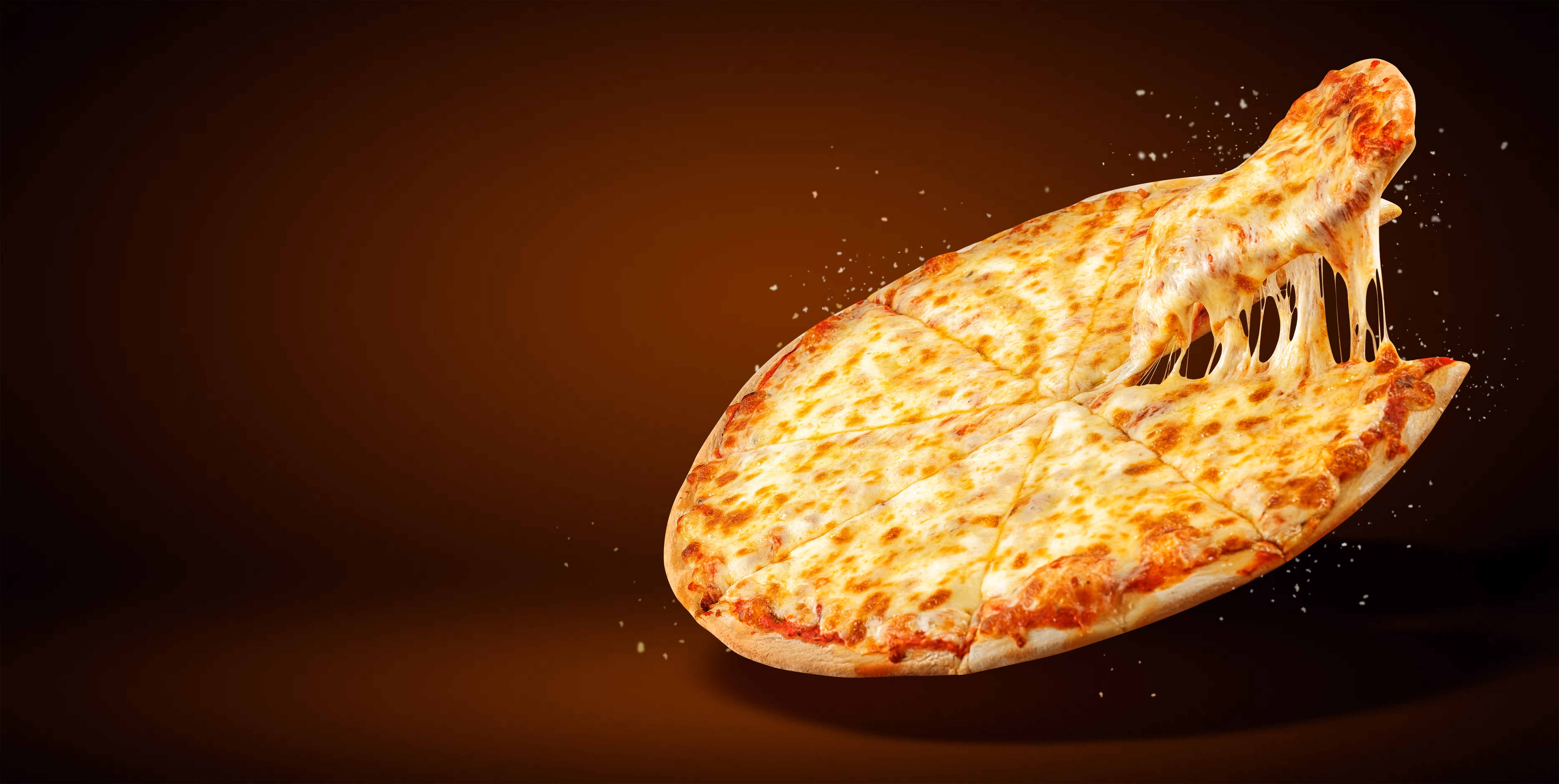 ROMS PIZZA  LARGE