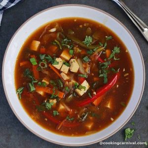 Veg Hot N Sour Soup