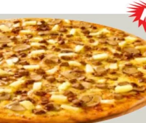 WONDER PIZZA  LARGE